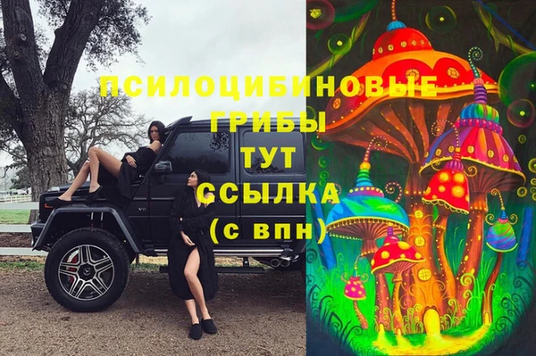 a pvp Арсеньев