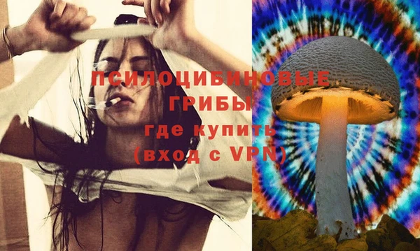 a pvp Арсеньев